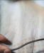 ফিঙ্গারপ্রিন্ট স্ক্যানার